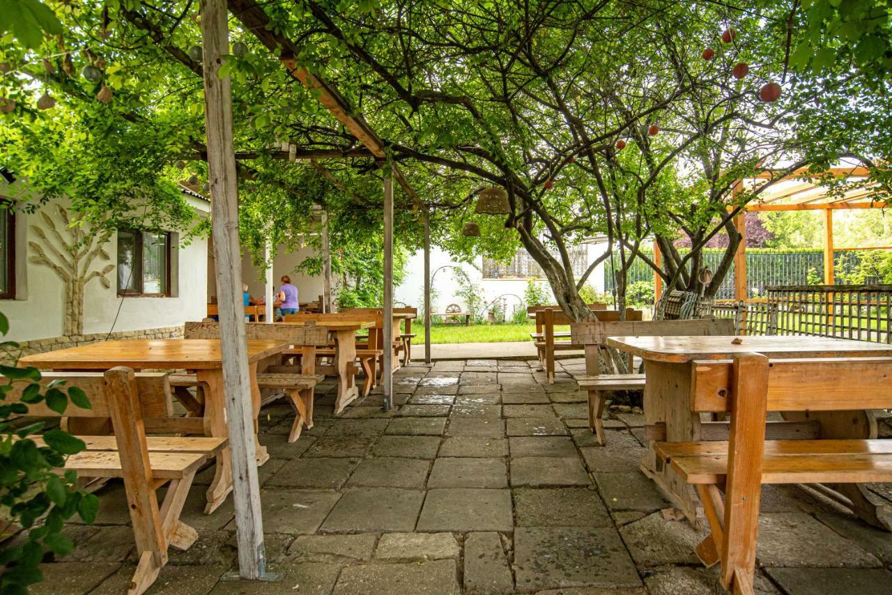La Papu Si Maia Hotel Eforie Sud  Bagian luar foto